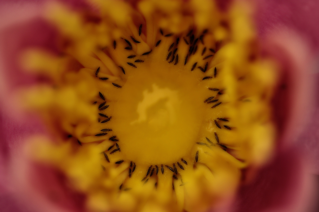 f0049152_23361571.jpg