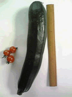 a0044453_16314173.gif