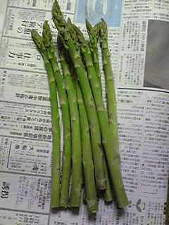 a0044453_16354819.gif