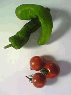 a0044453_16365110.gif