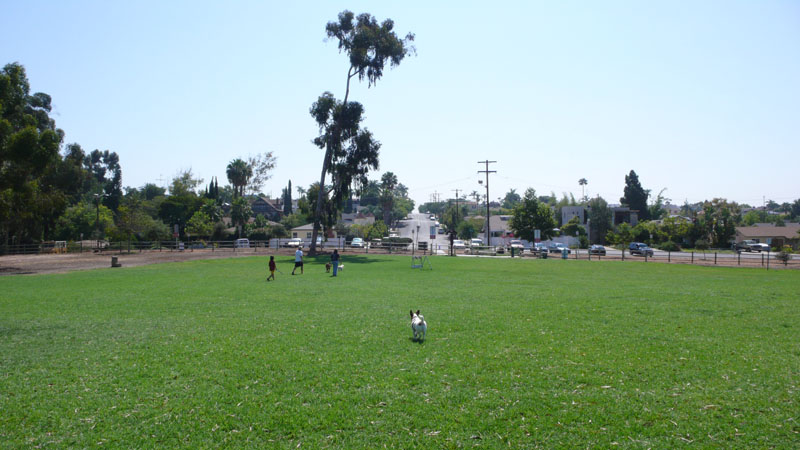 f0013255_82020.jpg
