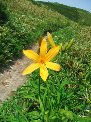 c0097856_0101116.jpg