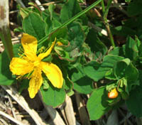 c0097856_0334249.jpg