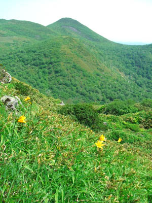 c0097856_0473866.jpg