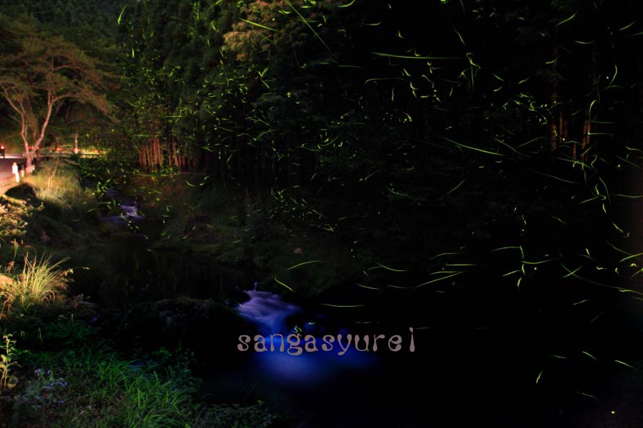 蛍 08_b0154570_15134462.jpg