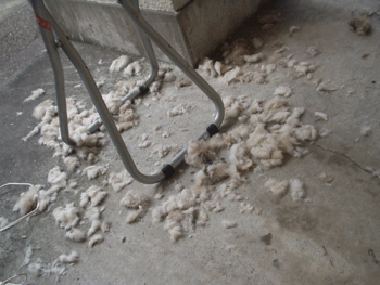 e0113473_05033.gif