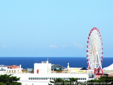 c0139375_1802275.jpg
