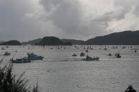 b0084378_23355311.jpg