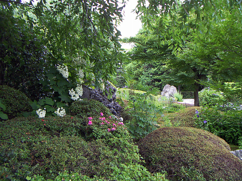 妙心寺　　退蔵院　　庭園_b0122979_22285052.jpg