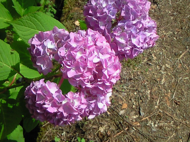 b0125384_2215821.jpg