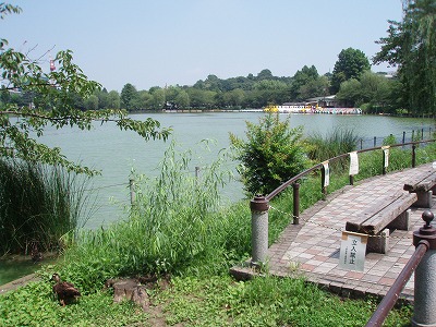 c0105785_10445.jpg