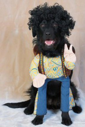 ★犬のコスプレ大会～とてもワンだふる!!!(￣■￣;)エェ!?_a0028694_22191033.jpg