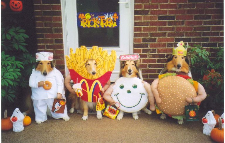 ★犬のコスプレ大会～とてもワンだふる!!!(￣■￣;)エェ!?_a0028694_22222944.jpg