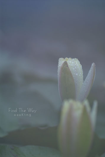 Eternity_f0054594_5492090.jpg
