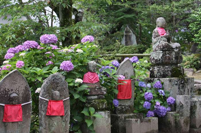 矢田寺_e0026800_22375226.jpg