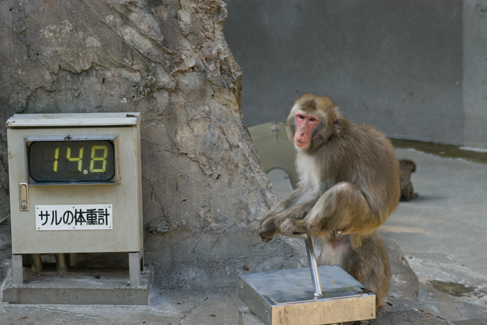 上野動物園。_c0120903_2103311.jpg