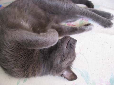 b0077906_001223.jpg