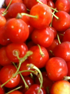 f0015614_7554037.jpg