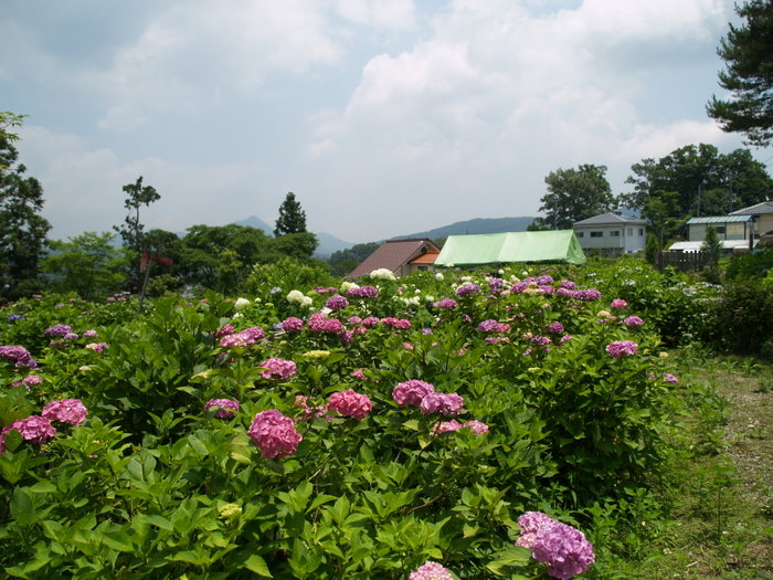 c0116915_2353882.jpg
