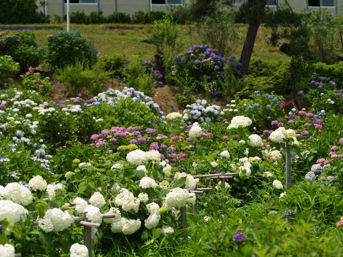 c0116915_2362817.jpg
