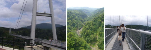 d0070316_9132390.jpg