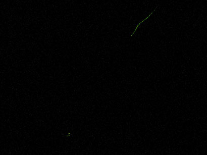 c0014117_00451.jpg