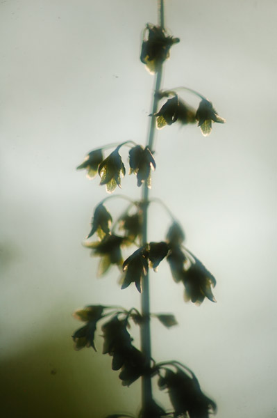 a0059621_231555.jpg