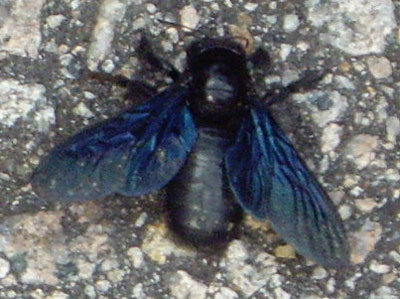 b0026822_10454375.jpg