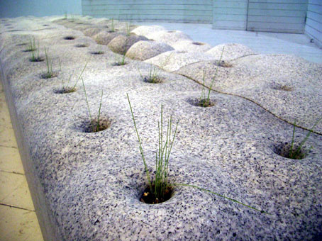 「鈴木典生 展」生育中_e0118827_22514838.jpg