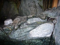 d0086228_14504054.jpg