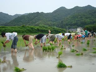 淡路へ田植え♪　夜は・・割烹　橙♪_b0110035_2249493.jpg