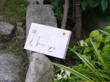 a0058643_2141330.jpg