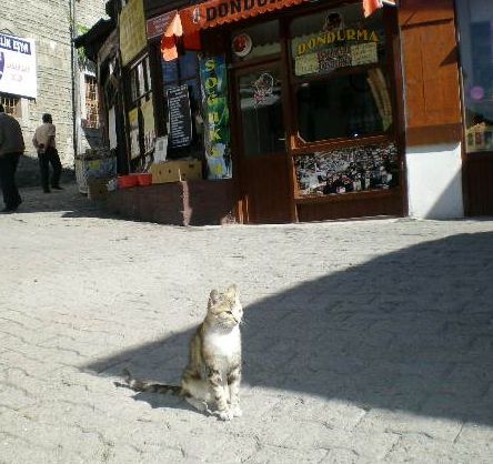 7月4日(金)トルコ旅行⑦サフランボル_f0060461_18594935.jpg