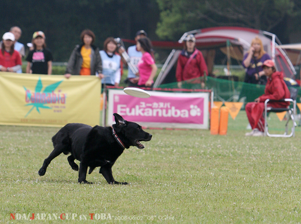 2007-2008 JAPAN CUP in TOBA#30+S/R1_b0074771_8594985.jpg