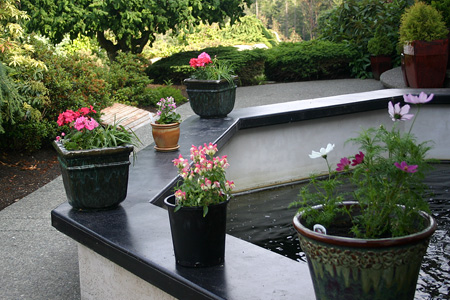 b0000372_10463395.jpg