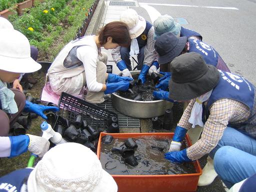 井畑花の道サークルの今_b0105374_98940.jpg