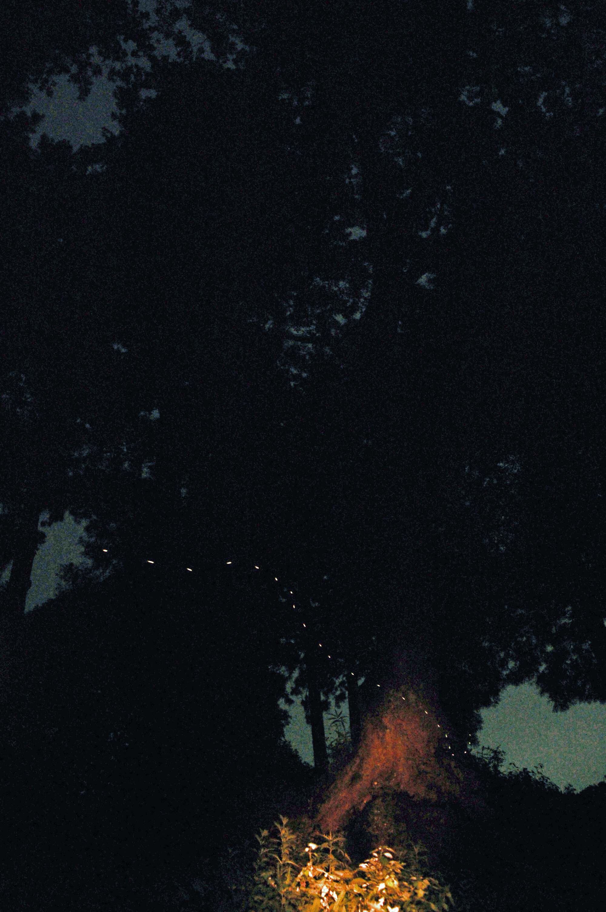 f0047593_14435673.jpg