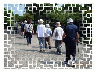 a0088494_2354062.gif