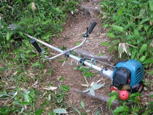 登山道の草刈り作業_e0120896_19253784.jpg