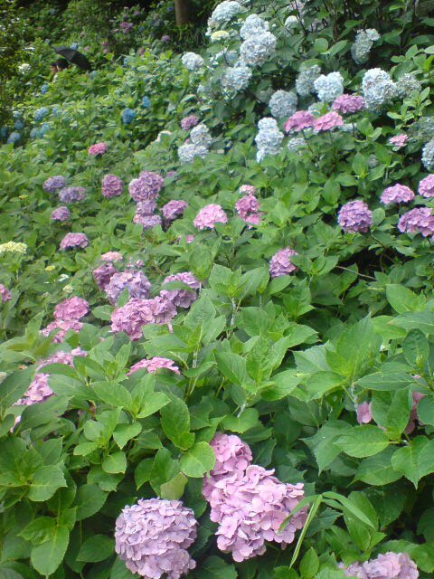 c0128199_21552238.jpg