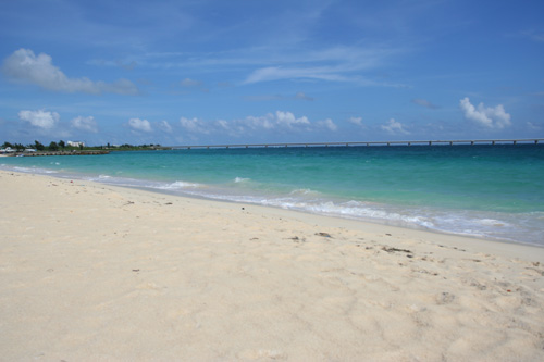 a0024504_216678.jpg