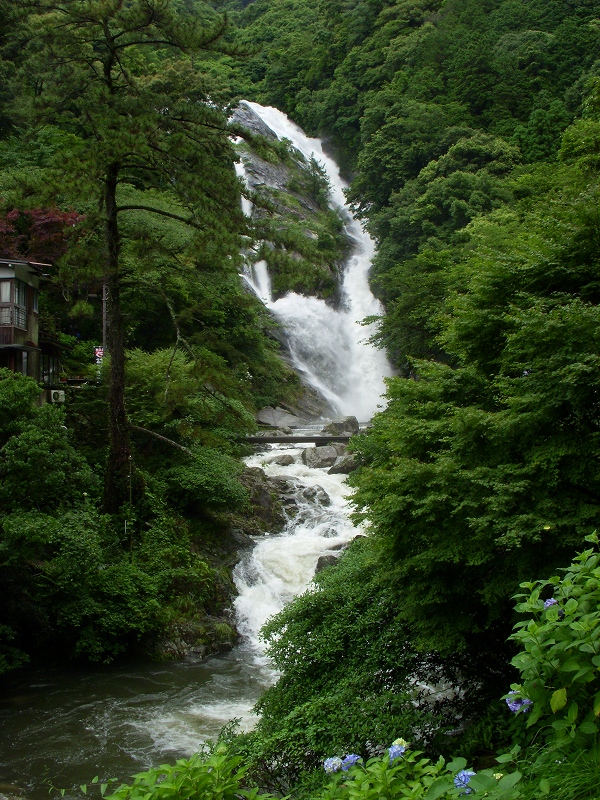 中体連直前_d0116009_1271578.jpg