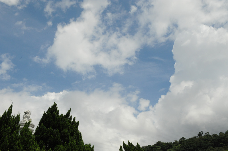 a0094711_9495100.jpg