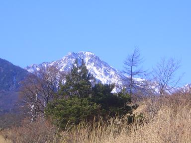 e0136815_72422.jpg