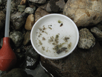 a0086316_20422066.gif