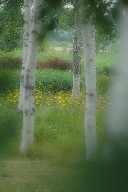 b0152416_071146.jpg