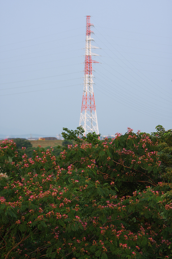 c0115616_21332930.jpg