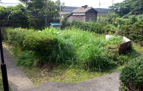 f0060424_15541310.jpg