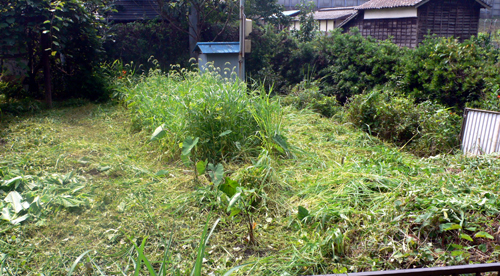 f0060424_155536.jpg