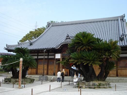 【寄稿8】大脇曹源寺と周辺の水野氏勢力 »»Web会員«« _e0144936_10155322.jpg